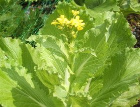 427a88 152d86a420544604b6a6298da0c8fc90mv2