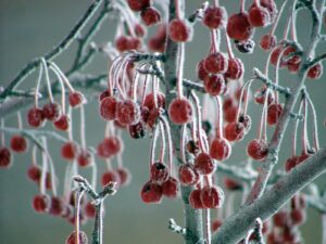 427a88 6110caac12e34e1d9d2773c983581b00mv2 d 2048 1536 s 2