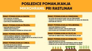 427a88 648cb48c59d440cb94df881f0fe00b90mv2