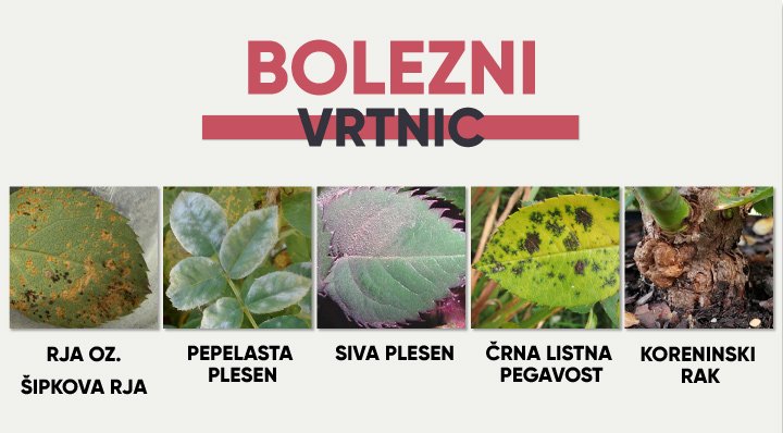 427a88 72ca84cf3f394794b14ab72cee9cfa52mv2