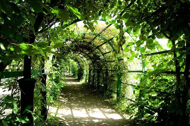 Mehiška kumara mini lubenica 