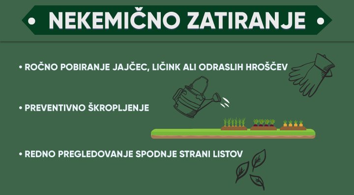 zatiranje koloradskega hrošča