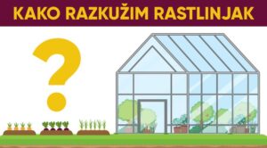 427a88 8e2affbe729948f9bcba3381e0712a22mv2