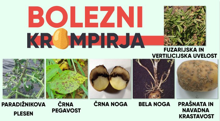 427a88 a877fd21e78a4457aeba91043b757297mv2