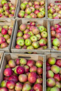 427a88 e36c3e07131d49a8a5a70faac17491d4mv2 d 1280 1920 s 2