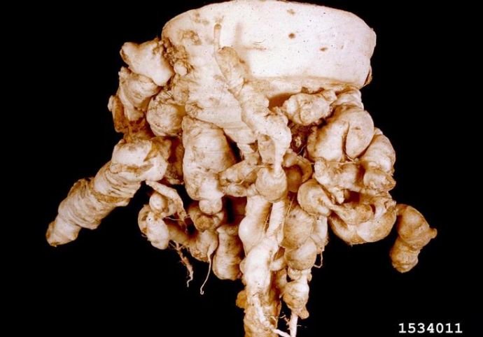 427a88 e55810cd751c45e3bca4af75c17e8fecmv2