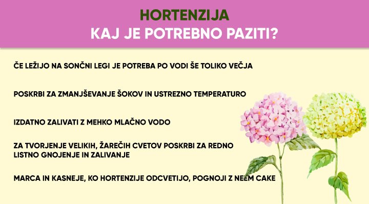 427a88 f2812bd7d79b4be58d072c1fc1936a1fmv2