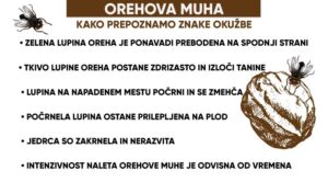 427a88 f8f76feb29f642fc8944634254db0491mv2