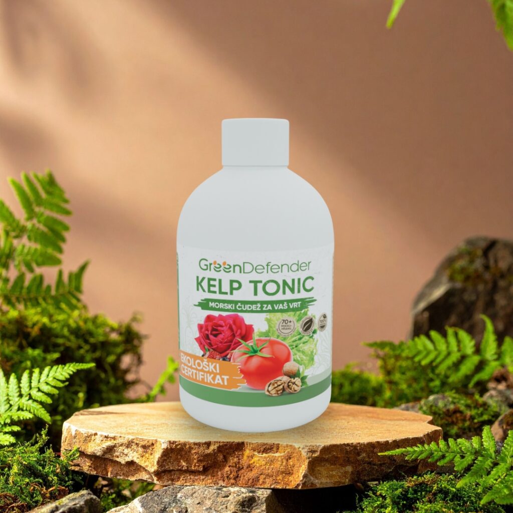 Krastavost kumar - Cladosporium cucumerinum 2 kelp tonic rjave morske alge