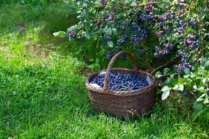 18b3d1 7c4b16e5461e4ef9a6e636333addb230mv2