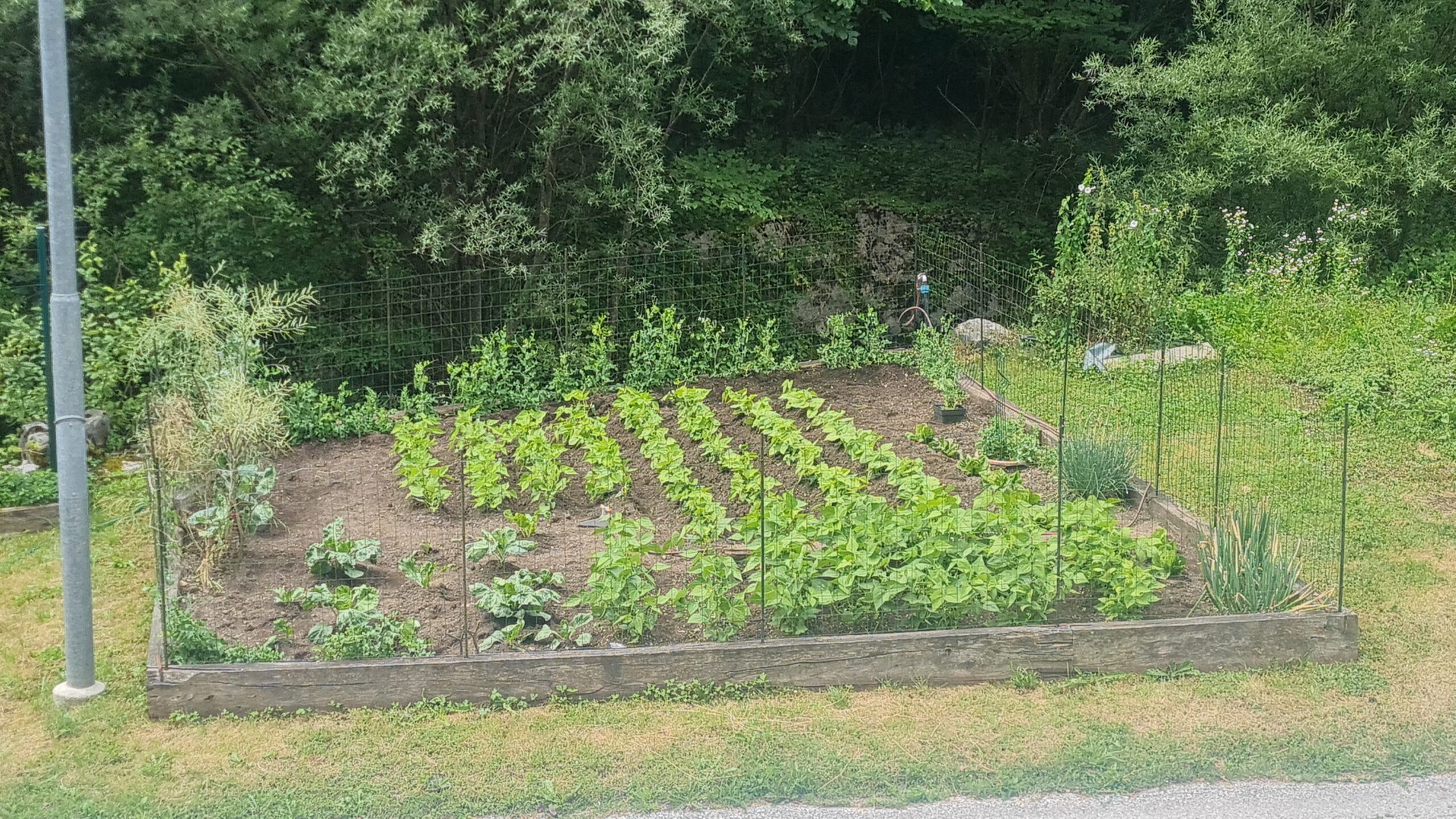 20250710 120948 scaled